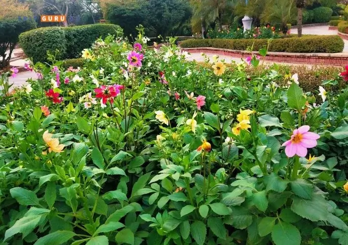 Garden of Five Senses Best Places to Visit in Delhi