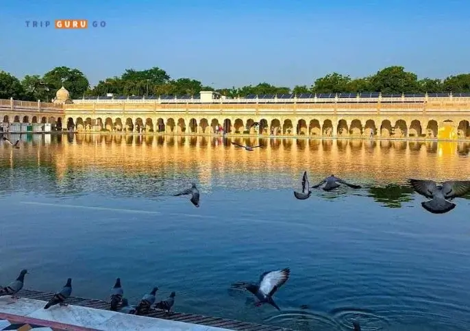 Sarovar at Bangla Sahib Gurudwara