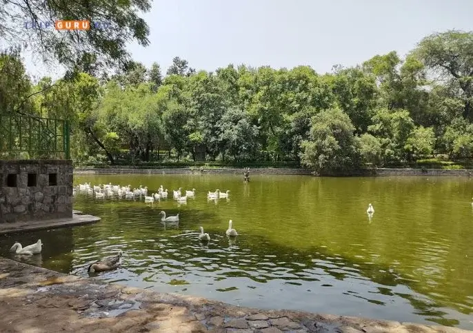 Lodhi Gardens Best Places to Visit in Delhi