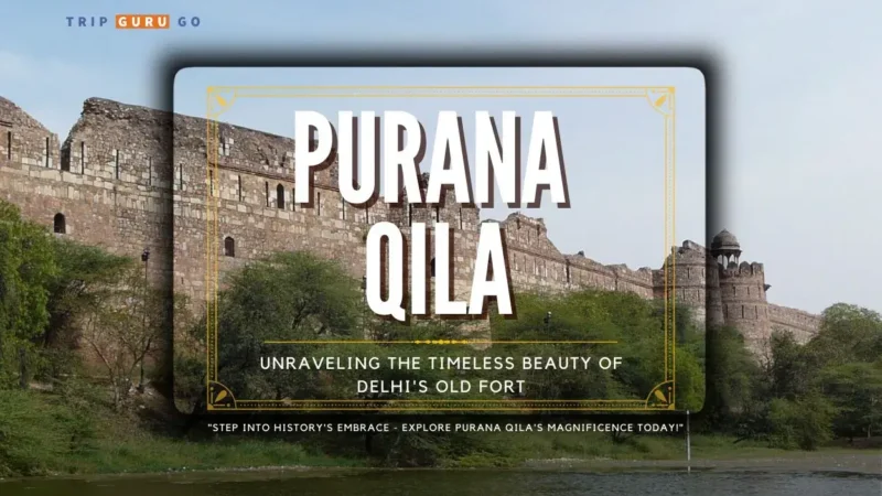Purana Qila Delhi: History, Architecture, Timing & Ticket Price 2024