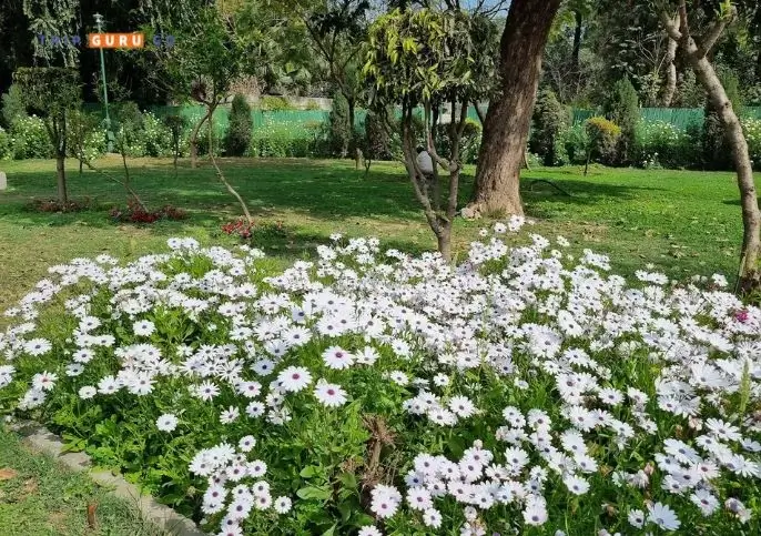 Talkatora park's Colorful Flowerbeds