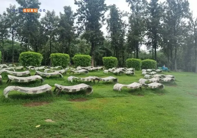 Lush Greenery at Nehru Park