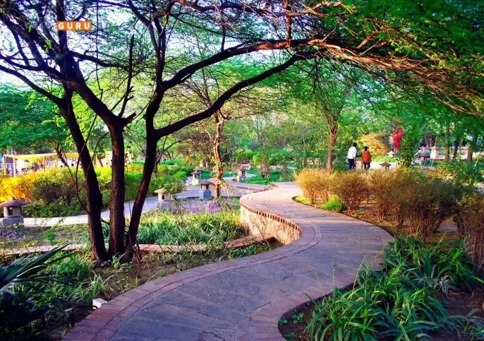 Relaxing Walkways in Delhi Park