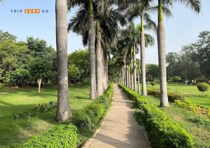 Picnic Spot in Delhi Park