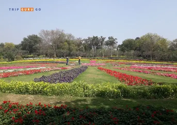 Nehru Park Botanical Garden