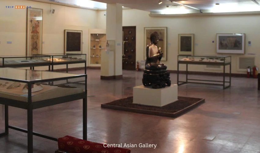 Central Asian Gallery