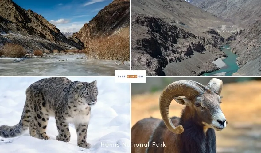 Hemis High Altitude National Park