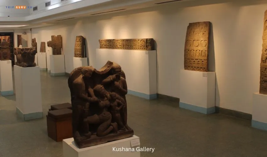 Kushana Gallery at national museum of india