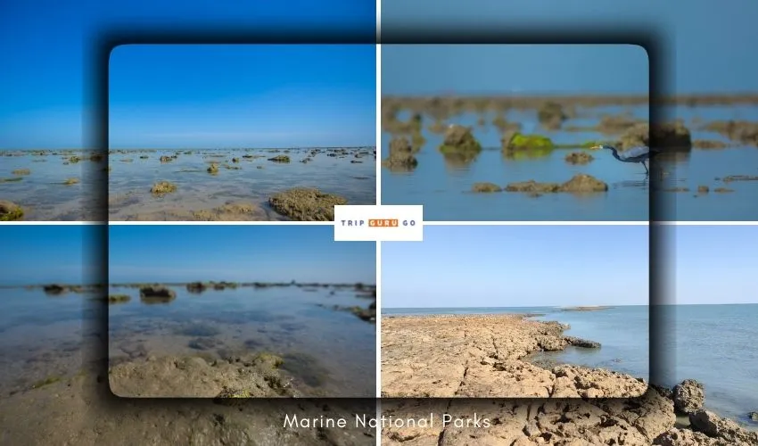 Marine National Park