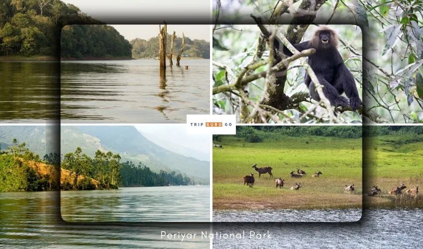 Periyar Tiger Reserve