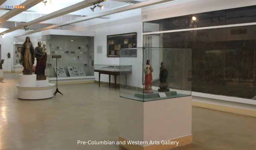 Pre-Columbian and Western Arts Gallery