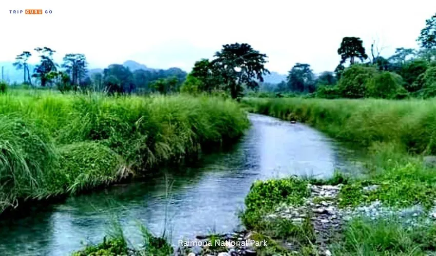 Raimona National Park