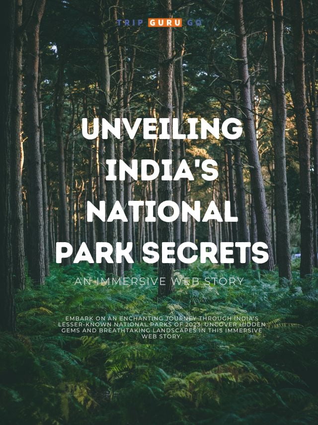 Unveiling India’s National Park Secrets: An Immersive Web Story