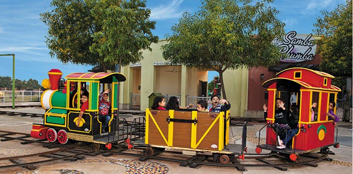 Amusement Park Mini Train