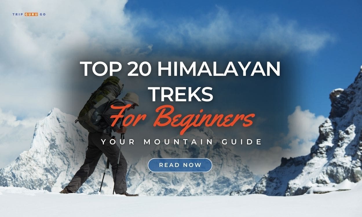 Best Himalayan Treks for Beginners in India 2023