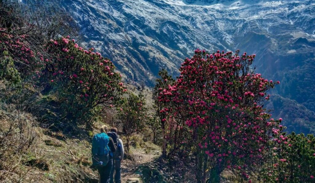 Hiking amidst Nepal's natural beauty