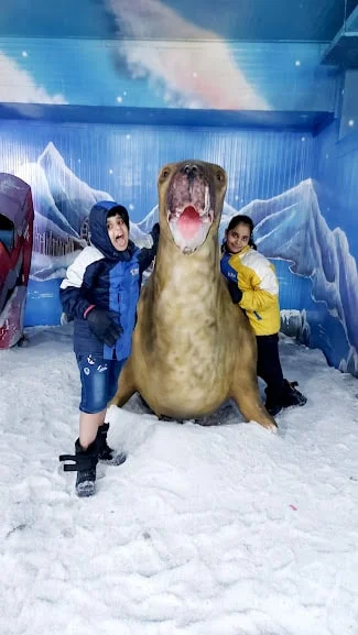 Snow World Noida Image