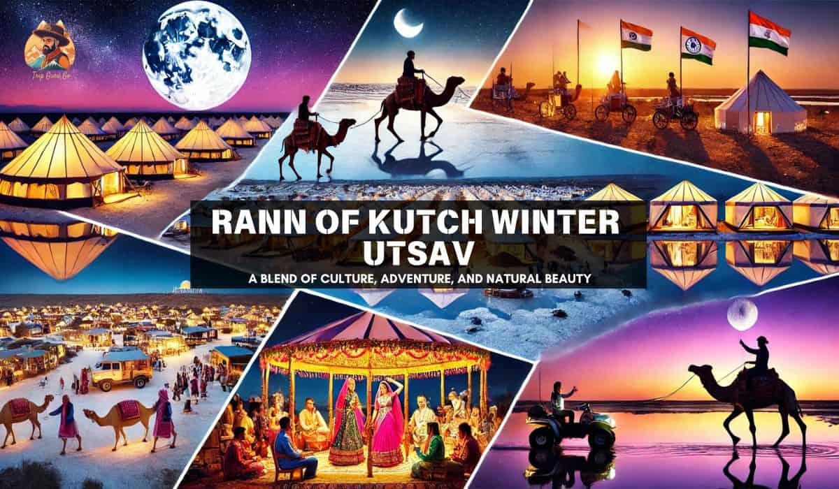 Rann of Kutch Winter Utsav 2025: The Ultimate Desert Camping Guide & Travel Tips