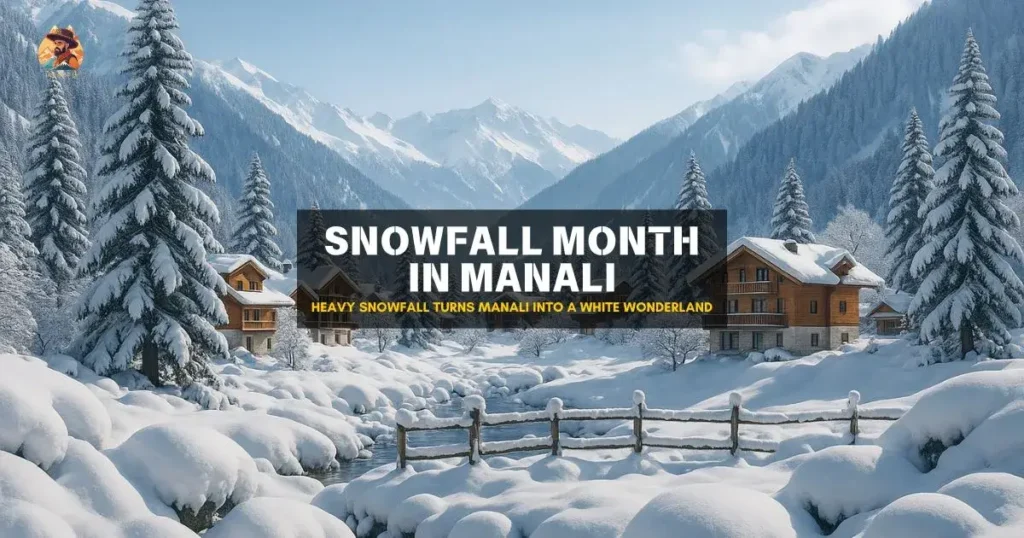Snowfall month in Manali with fresh snow on trees and road during peak winter