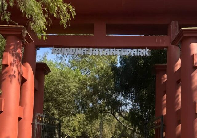 Buddha Jayanti Park, Delhi – A Peaceful Forest Escape (2025)