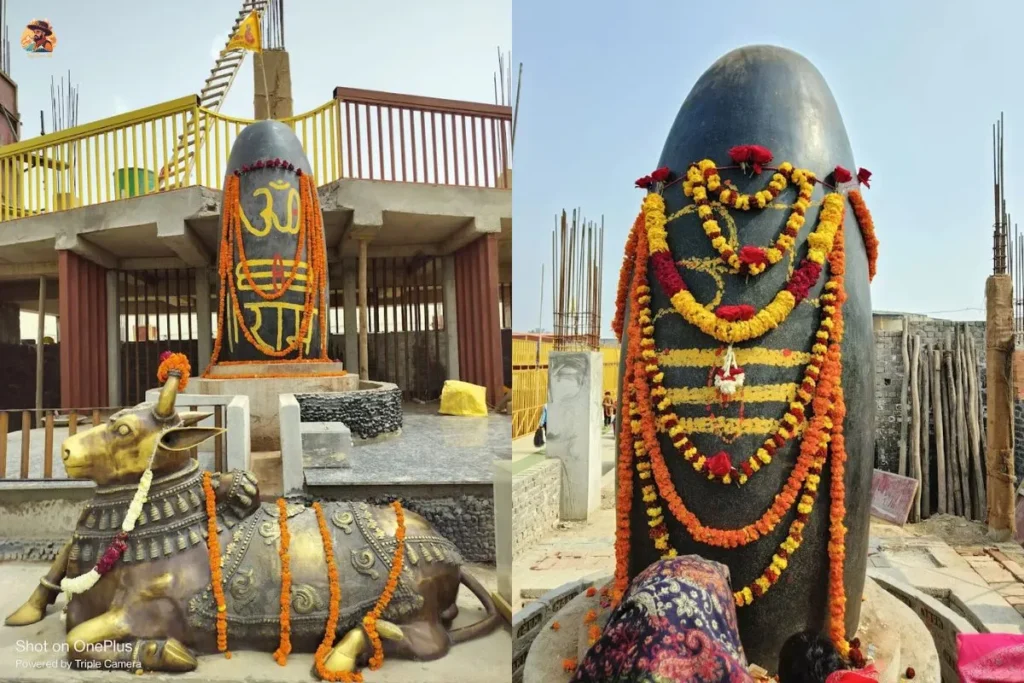 khatu syam dham mandir delhi photo shivling