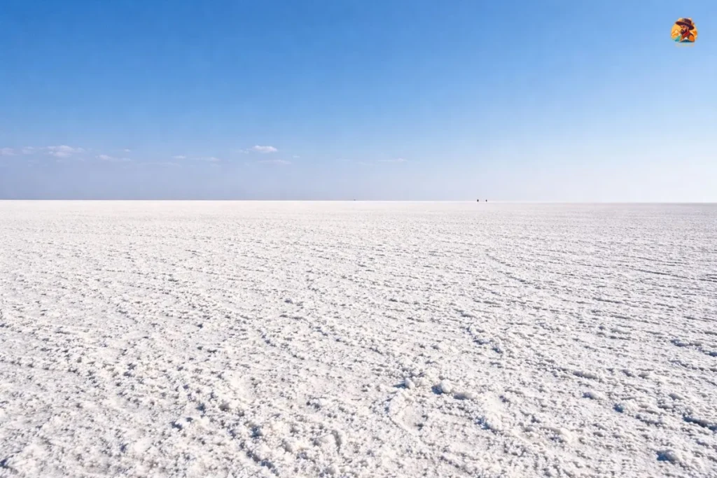 Quick facts view of the Rann of Kutch showing vast white salt desert in winter daytime