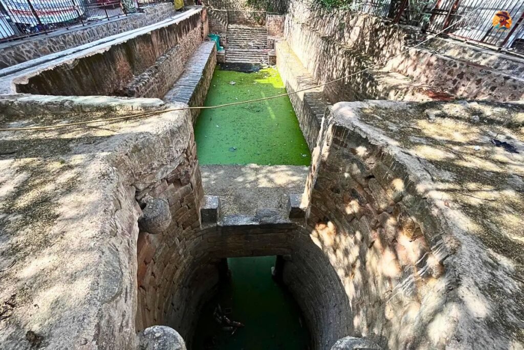 Mehrauli Archaeological Park photo 3