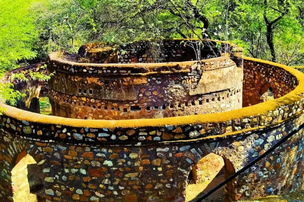 Jamali Kamali park photo 3