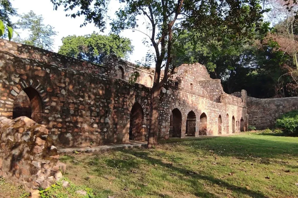 Jamali Kamali Garden photo 2