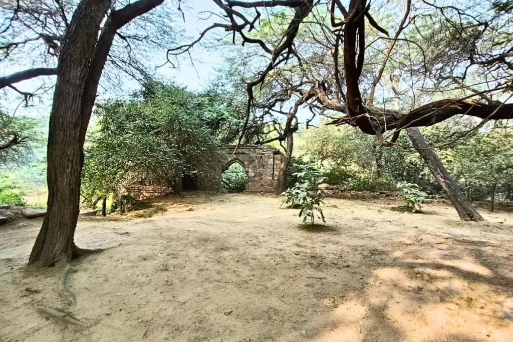 Jamali Kamali Garden photo 8