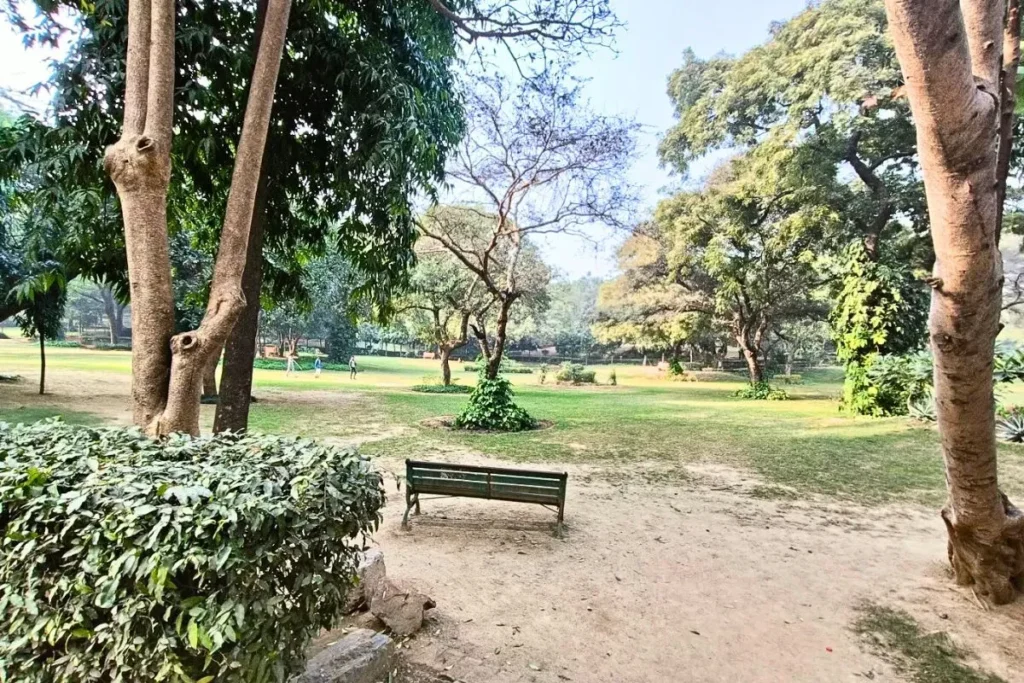 Jamali Kamali park photo 4