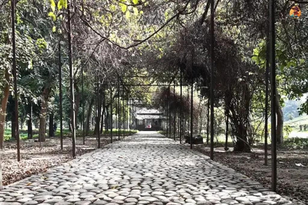 Roshanara Garden landscape photo