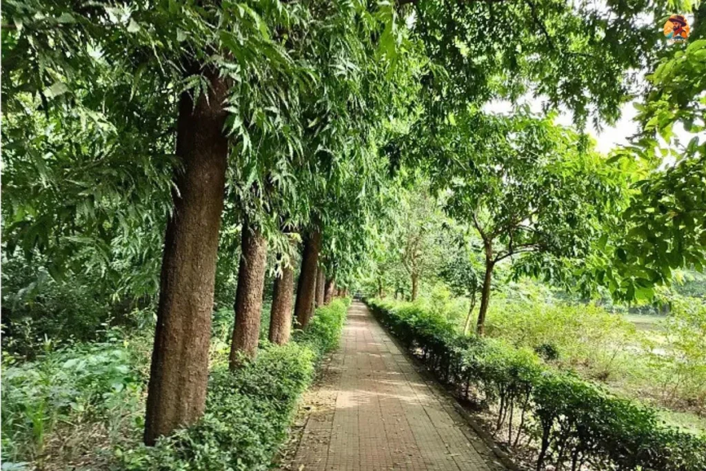 Roshanara Garden Bagh photo