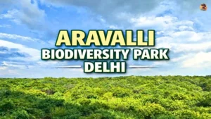 Aravalli Biodiversity Park Delhi natural forest view