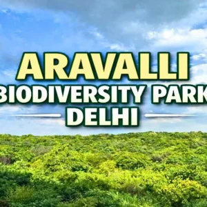 Aravalli Biodiversity Park Delhi: Timings, Nearest Metro, Ticket Price & Visitor Guide