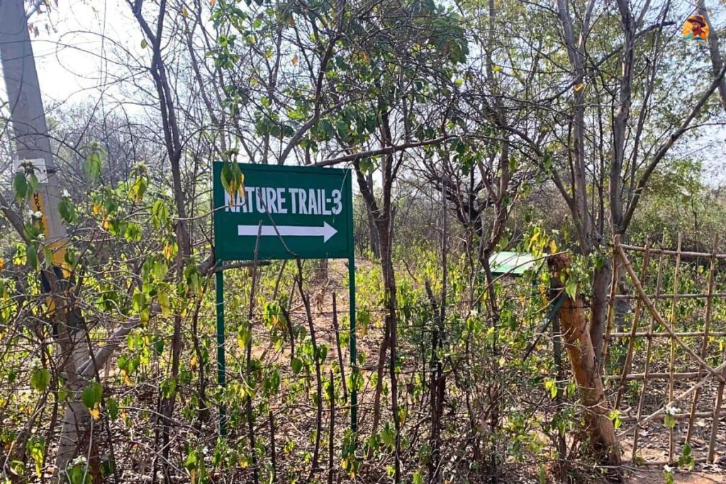 Aravalli Biodiversity Park Photo 17