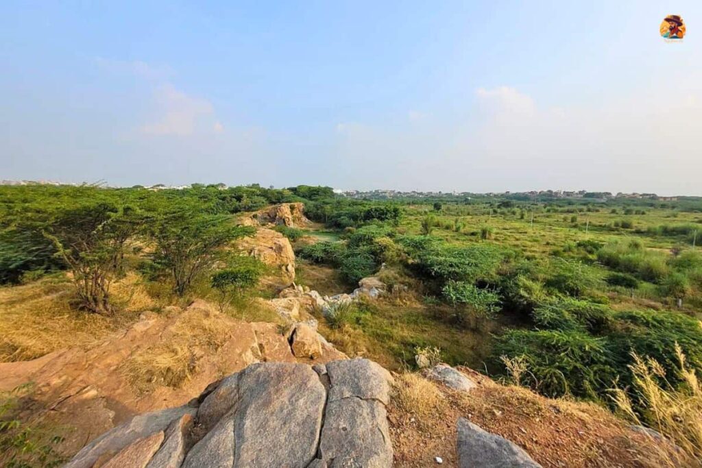 Aravalli Biodiversity Park Photo 14