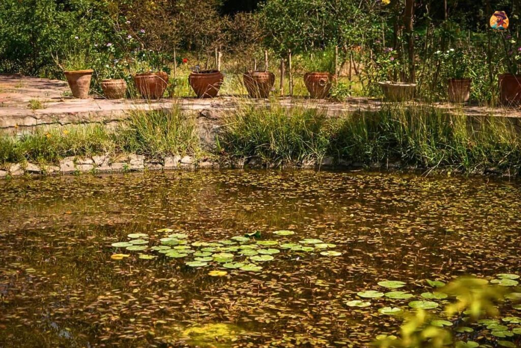 Aravalli Biodiversity Park Photo 15