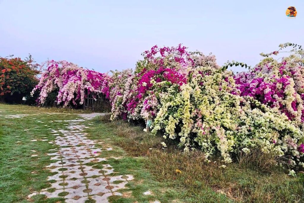 Aravalli Biodiversity Park Photo 1