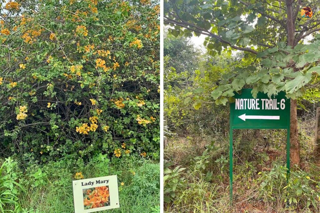 Aravalli Biodiversity Park Photo 2