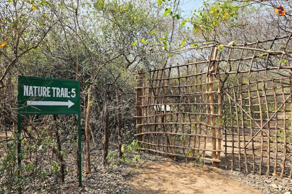Aravalli Biodiversity Park Photo 3