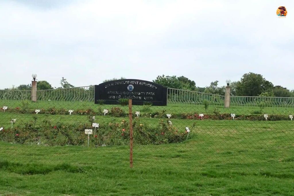 Aravalli Biodiversity Park Photo 6