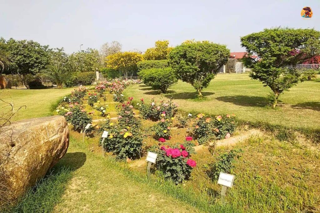 Aravalli Biodiversity Park Photo 19