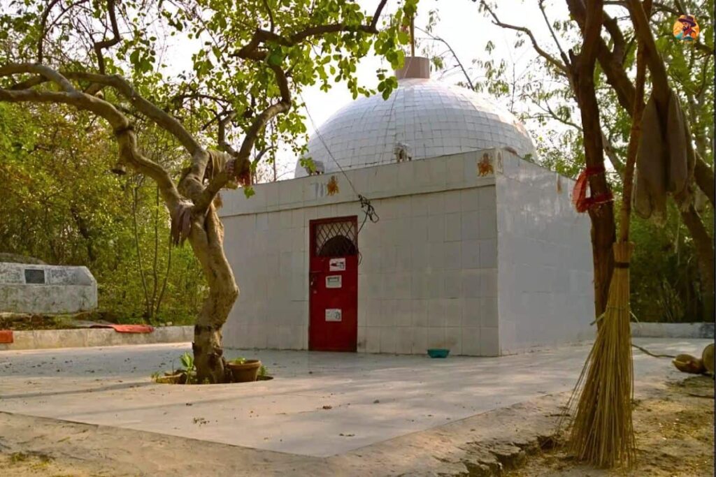 Aravalli Biodiversity Park Photo 7