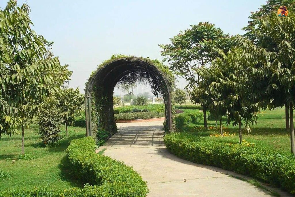 Aravalli Biodiversity Park Photo 8