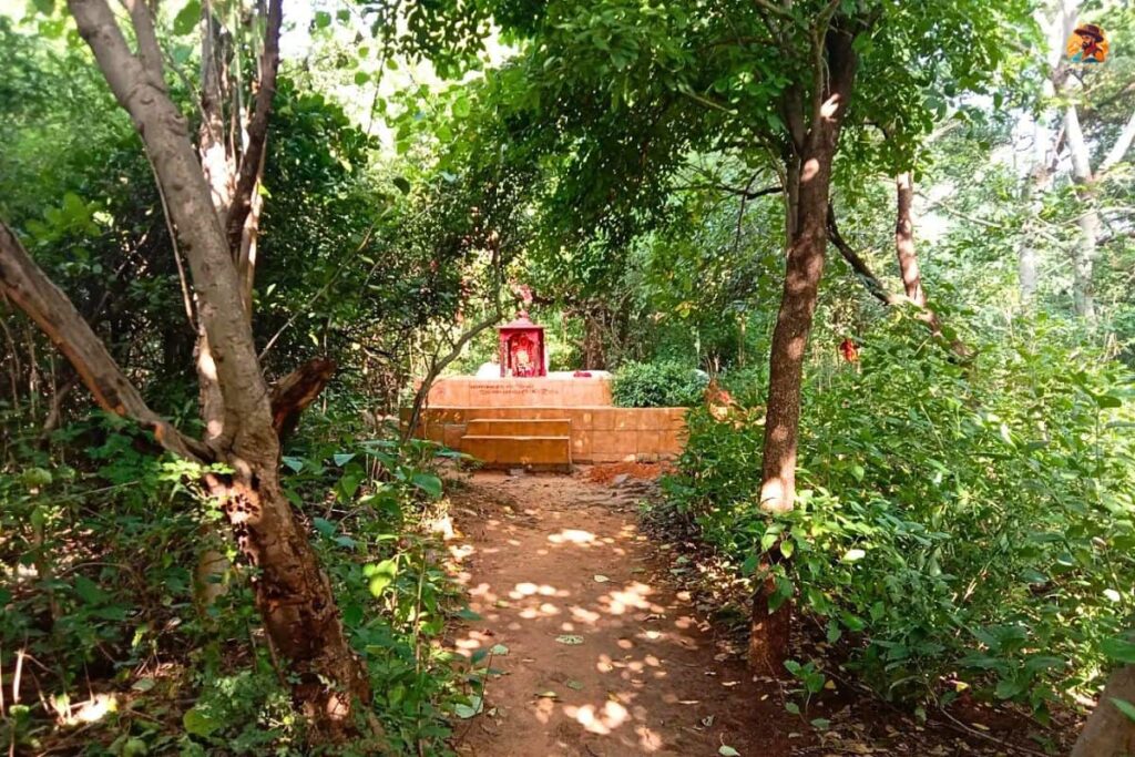 Aravalli Biodiversity Park Photo 10