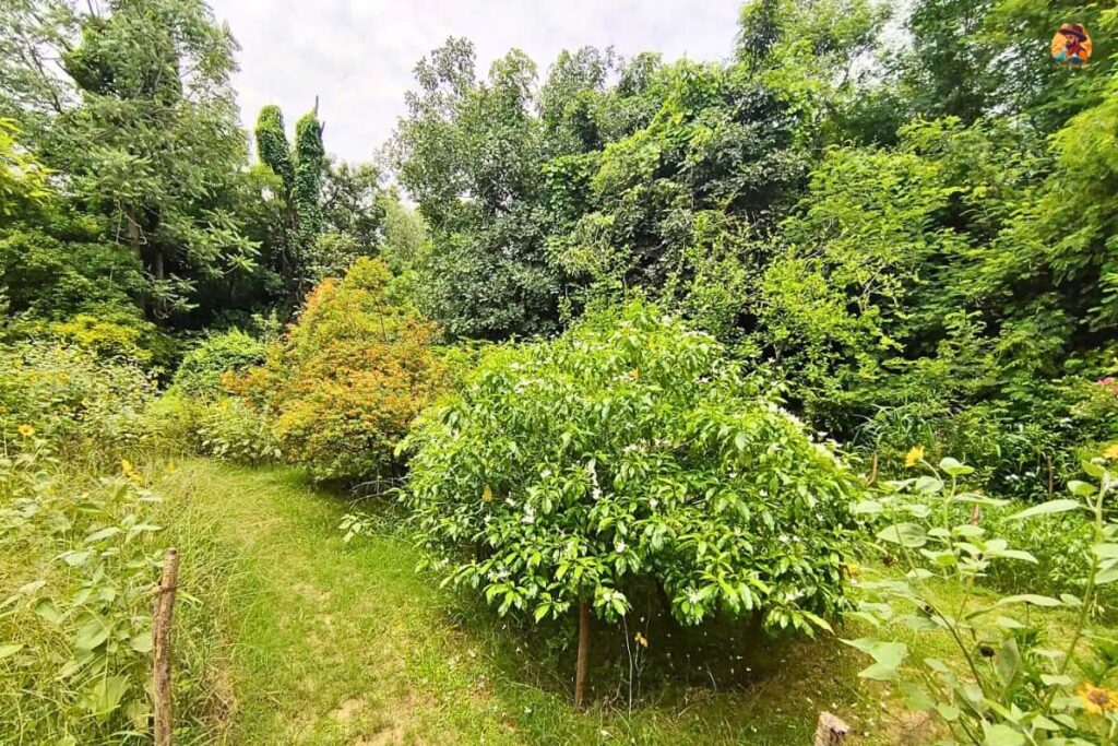 Aravalli Biodiversity Park Photo 11