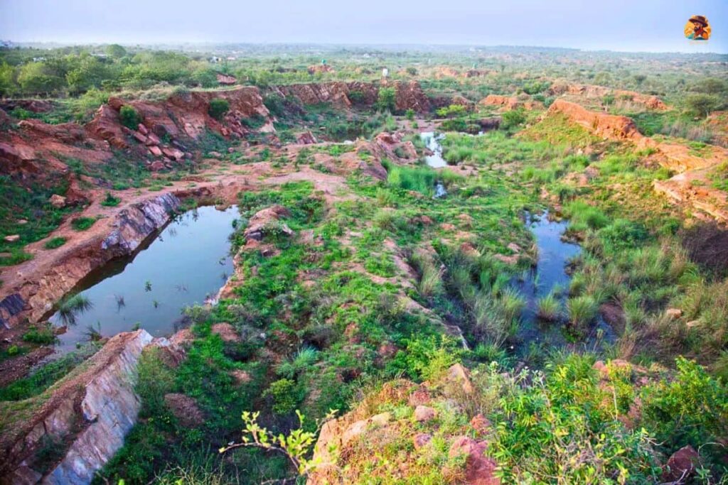 Aravalli Biodiversity Park Photo 12