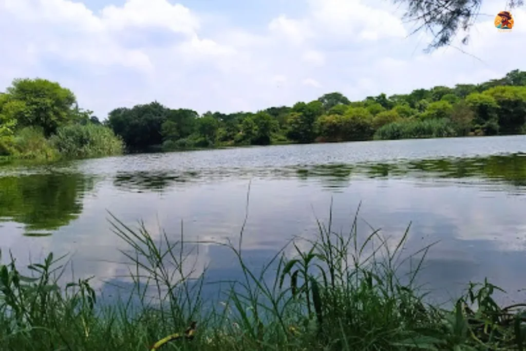 Neela Hauz Lake Photo