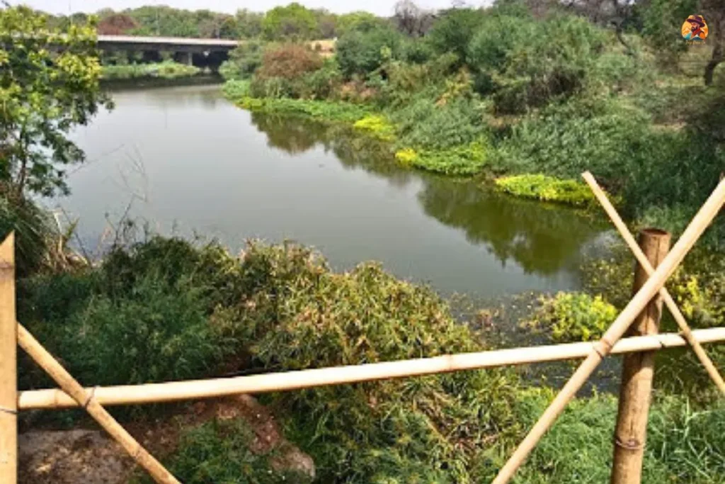 What Is Neela Hauz Lake in Sanjay Van
